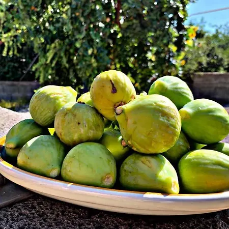 Il Tiglio Apartamento Viagrande