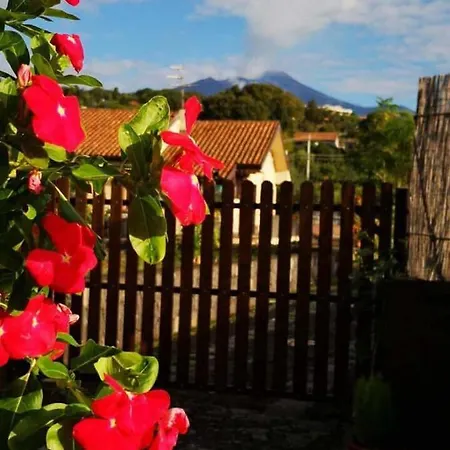 Il Tiglio Apartamento Viagrande