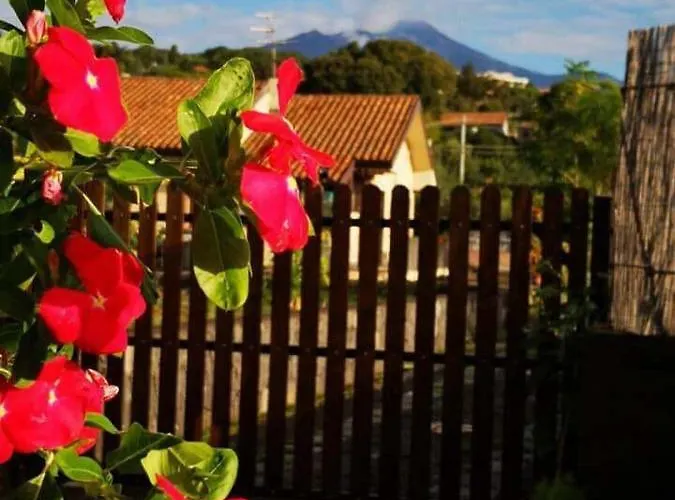 Il Tiglio Daire Viagrande
